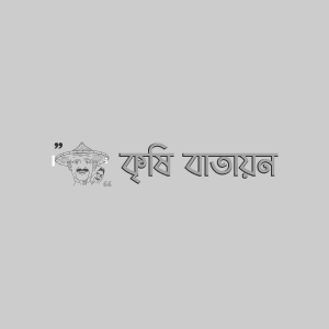 লটকন ঢলে পড়া রোগ